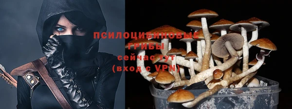 бутират Баксан