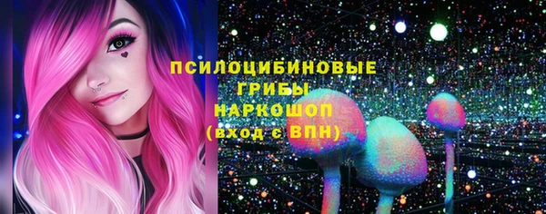 бутират Баксан