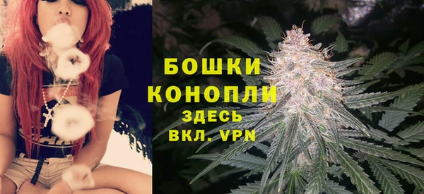 индика Балабаново