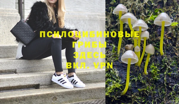 бутират Баксан