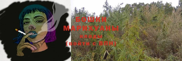 индика Балабаново