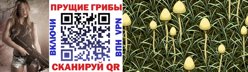 Галлюциногенные грибы ЛСД  гидра ССЫЛКА  Воронеж 